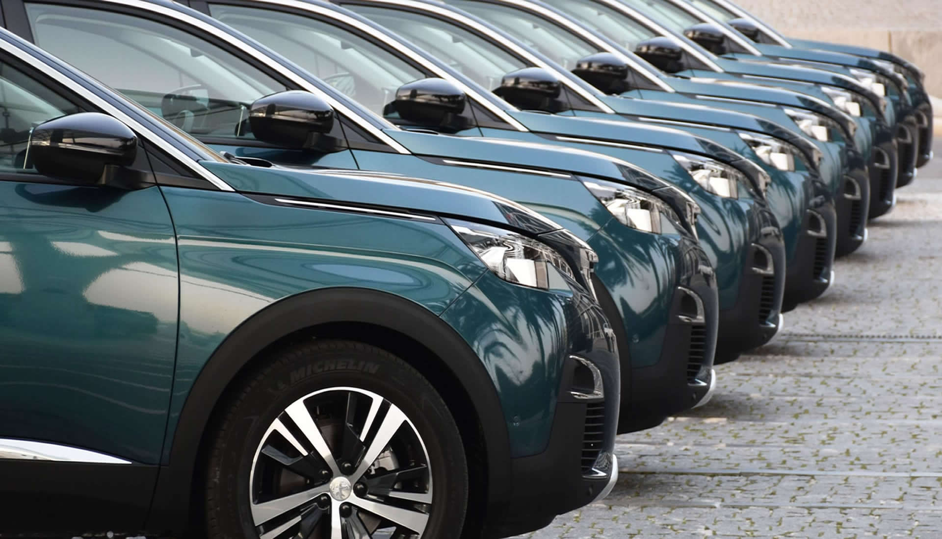 FM Alencar Transporte