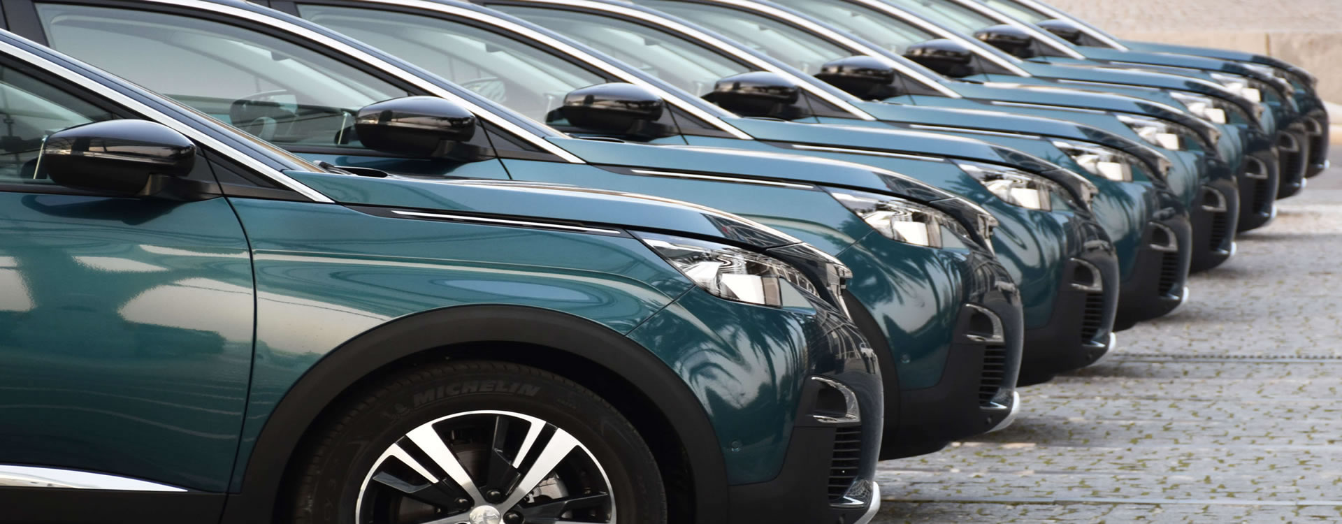 FM Alencar Transporte