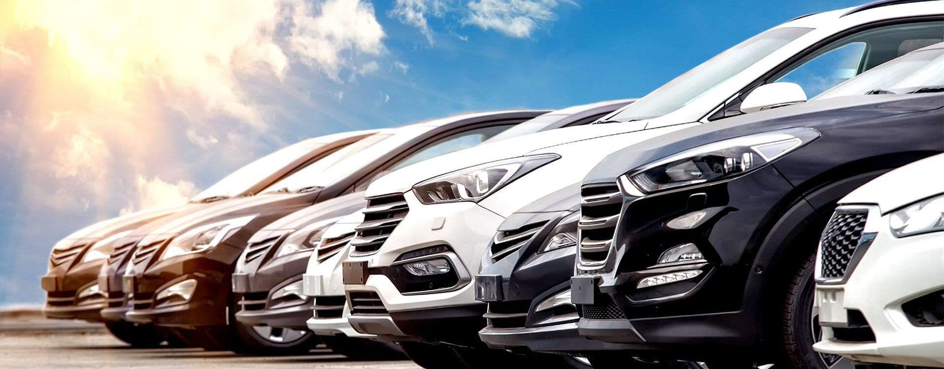 FM Alencar Transporte